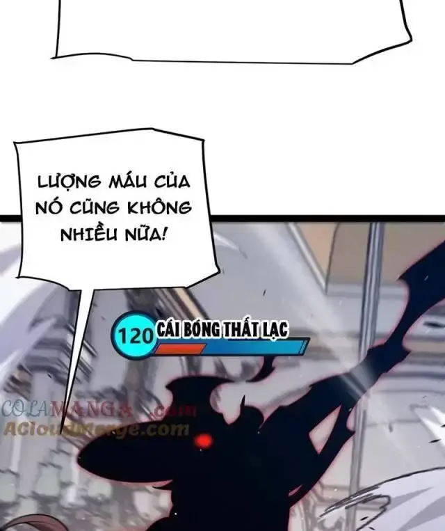 Chapter 284
