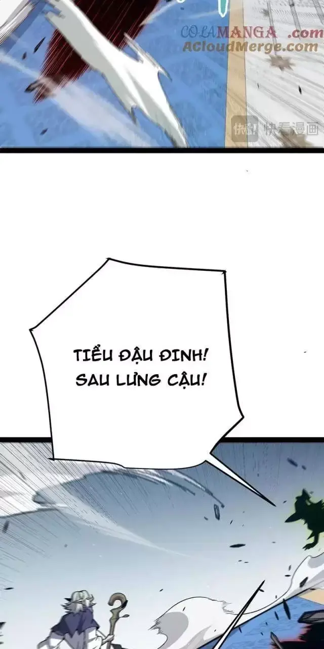 Chapter 284