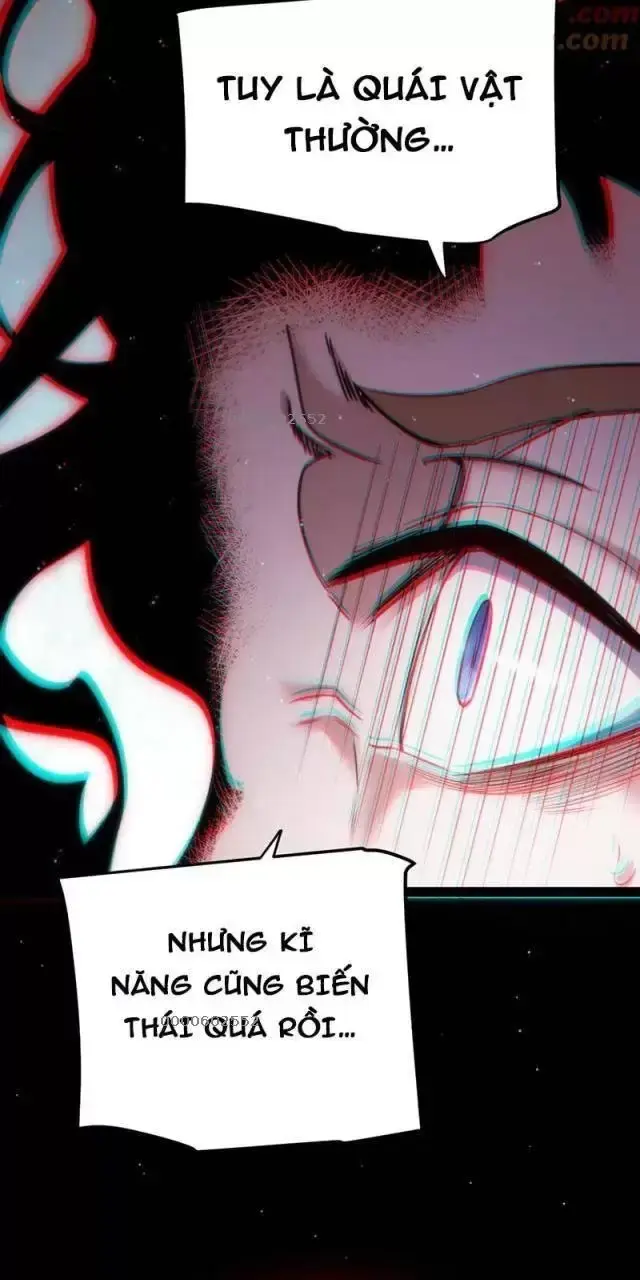 Chapter 284