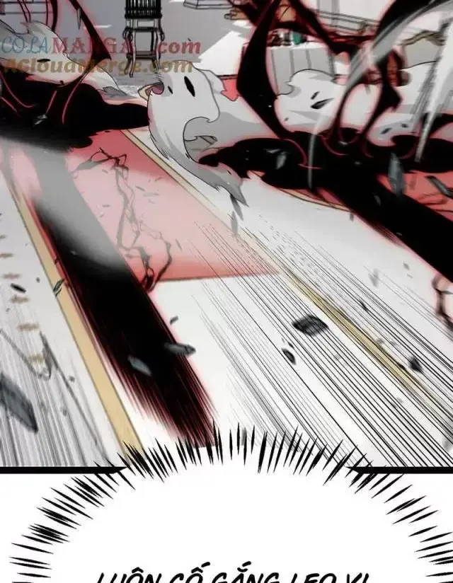 Chapter 284