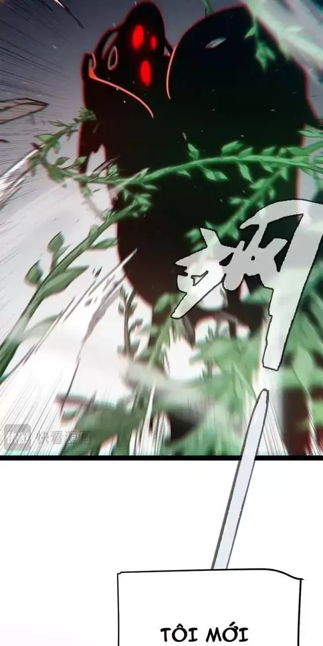 Chapter 284