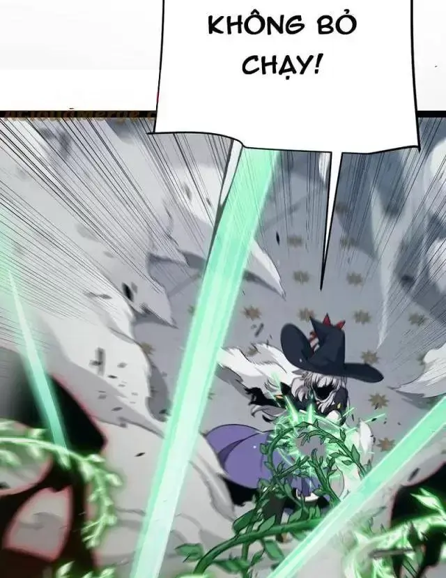 Chapter 284