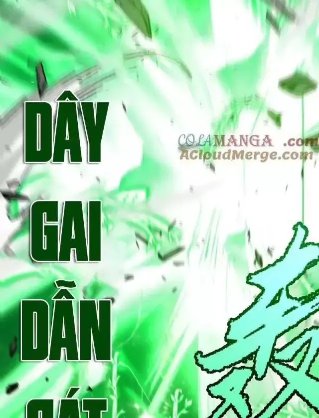 Chapter 284