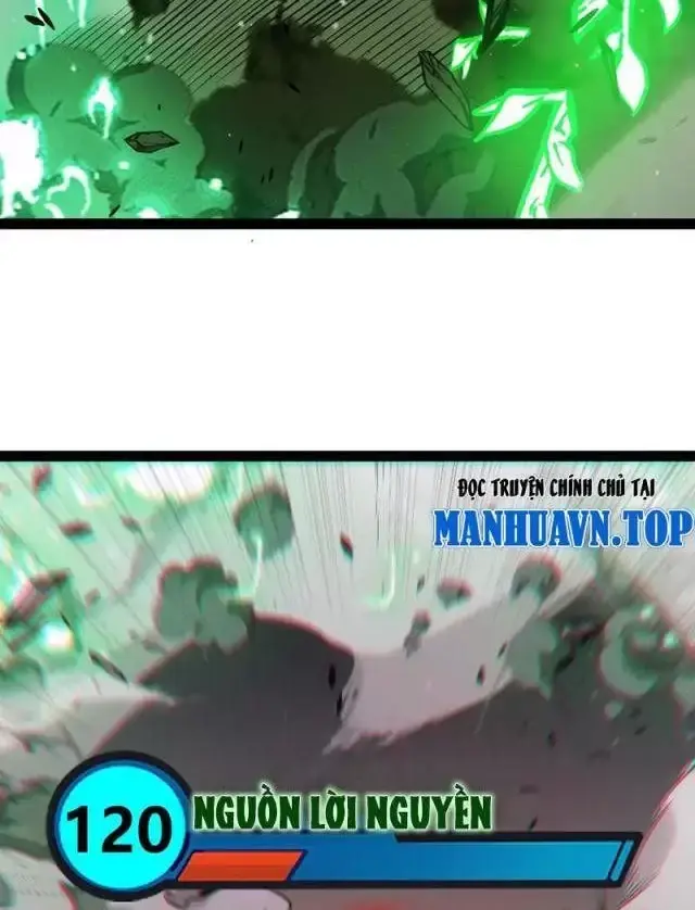 Chapter 284