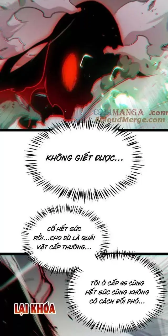Chapter 284
