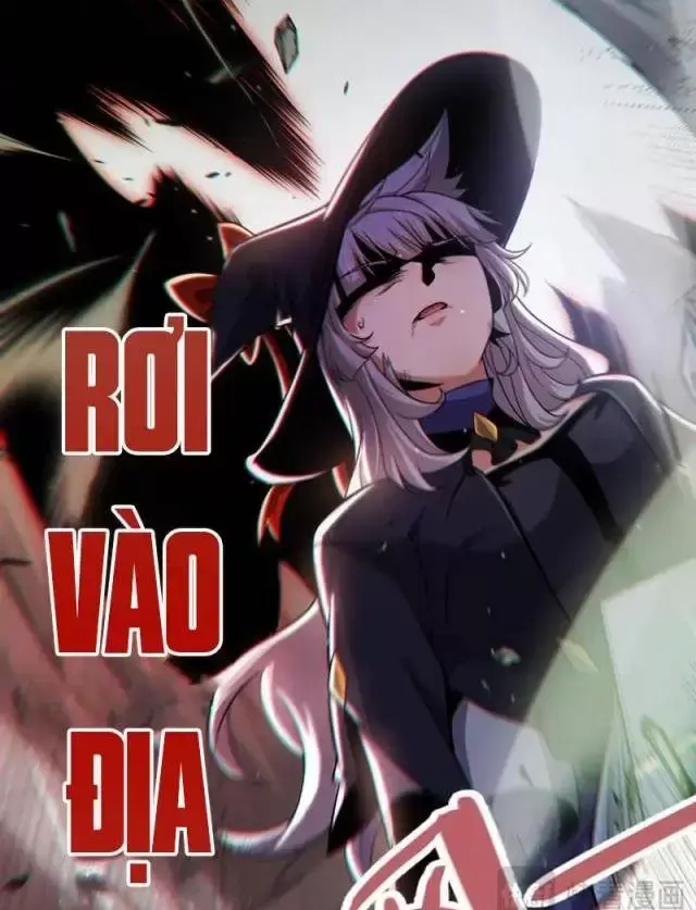 Chapter 284