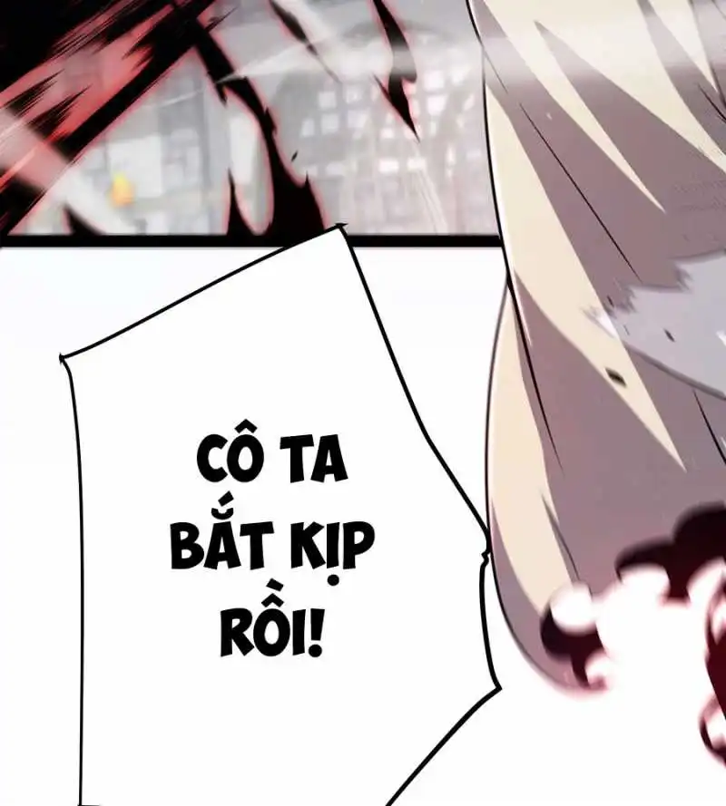 Chapter 281