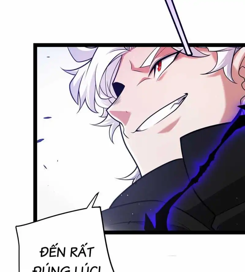 Chapter 279