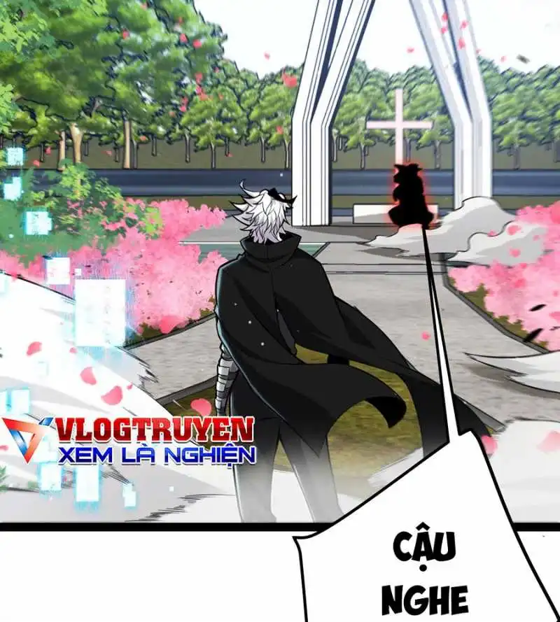 Chapter 278