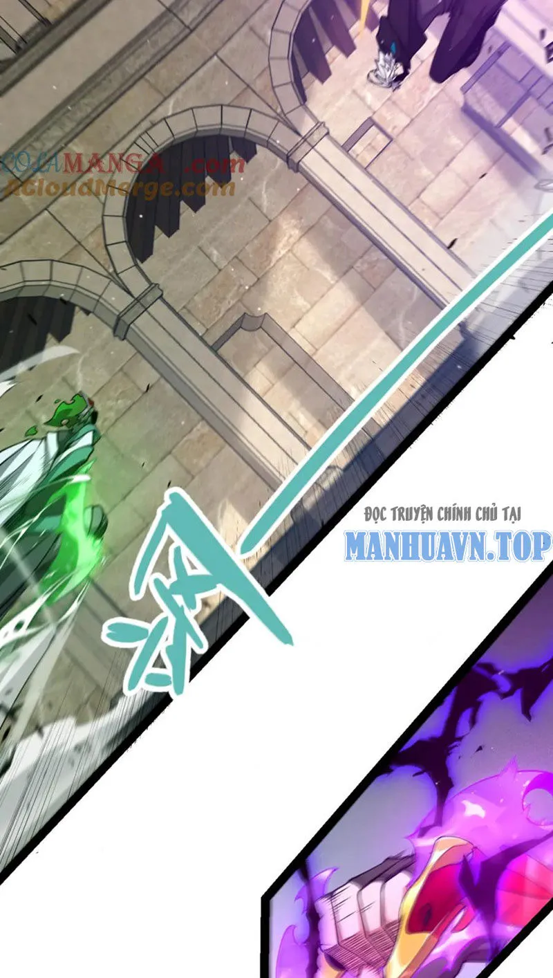Chapter 255