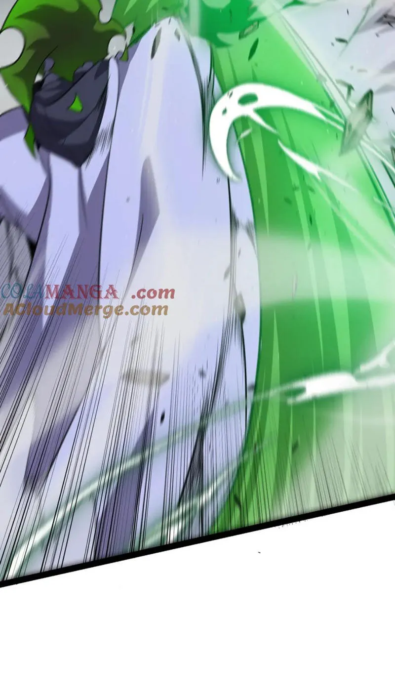 Chapter 255
