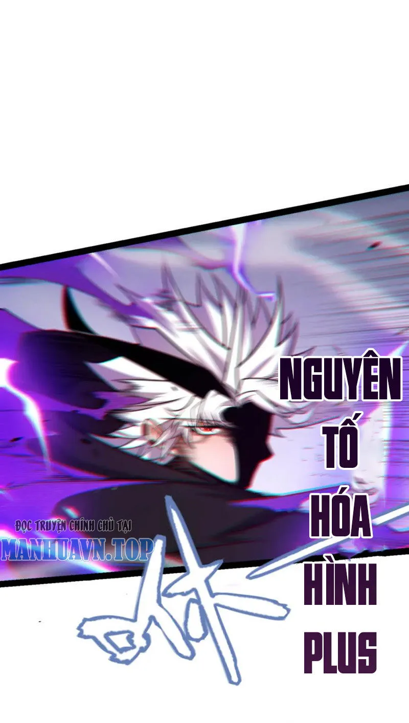 Chapter 255