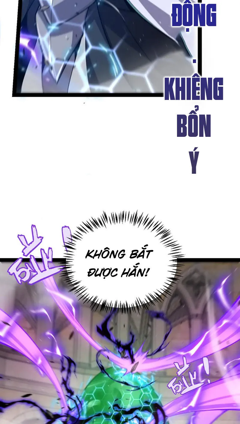 Chapter 255