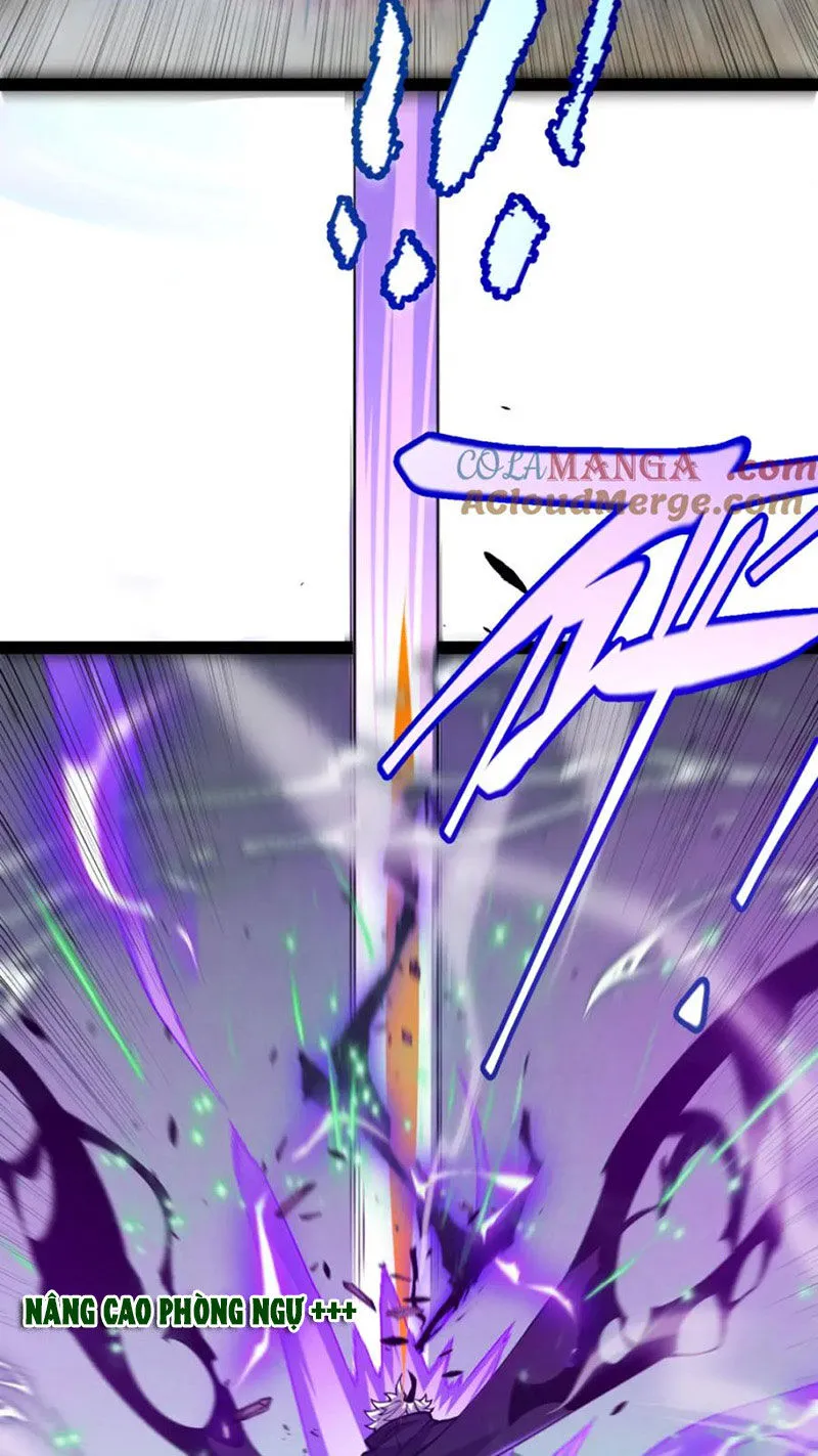Chapter 255
