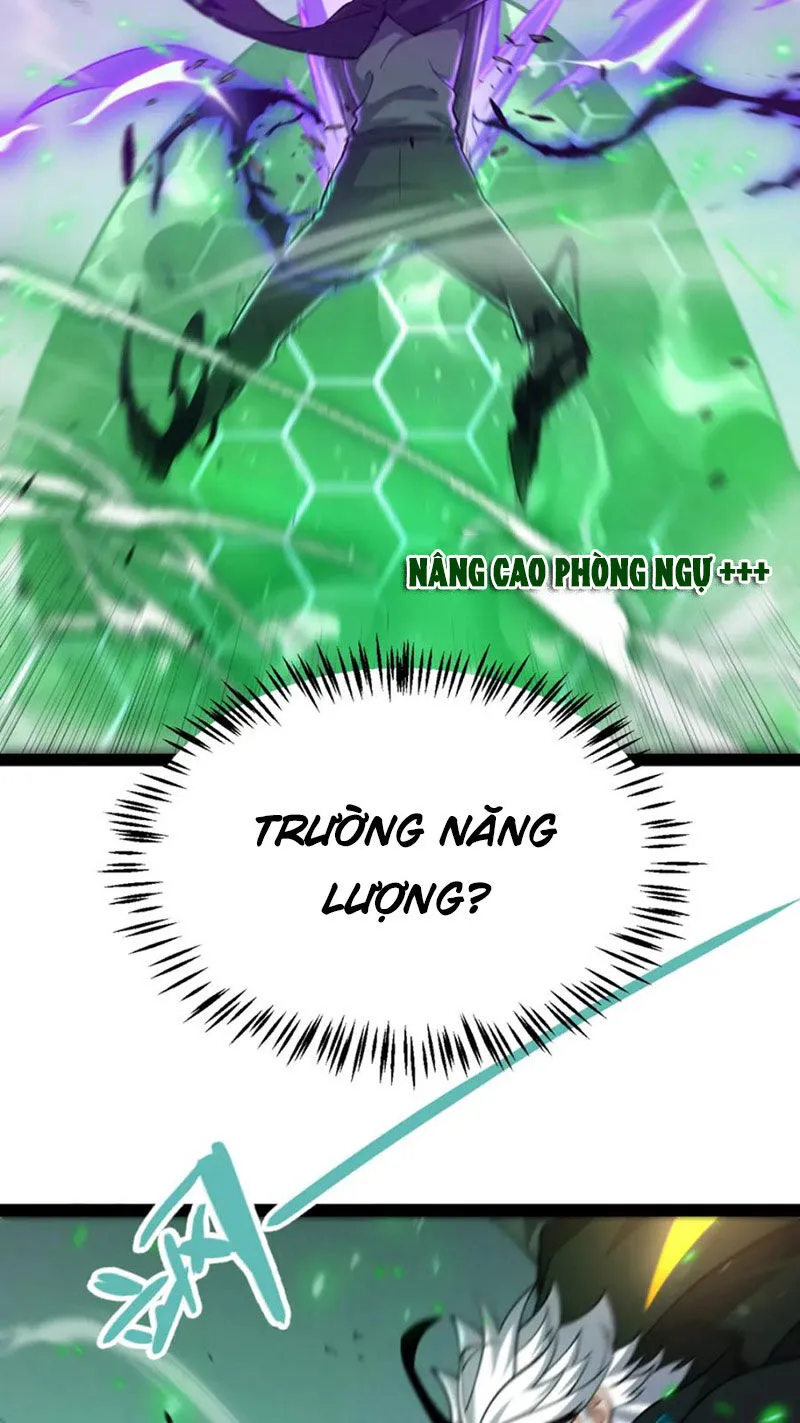Chapter 255