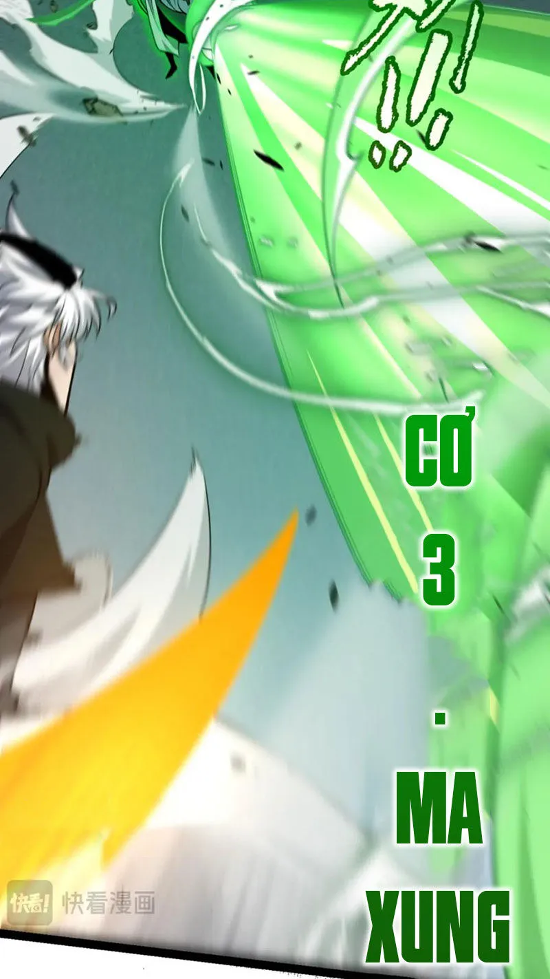 Chapter 255