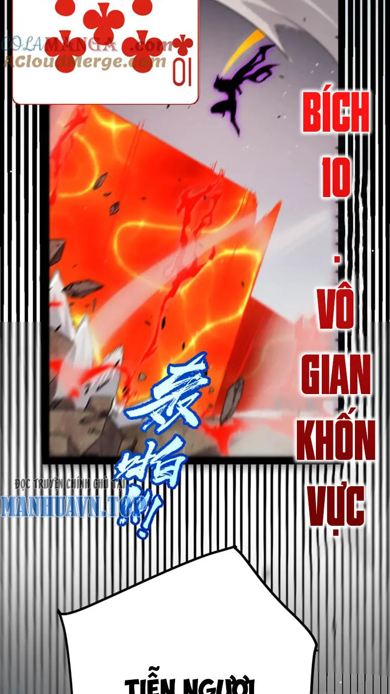 Chapter 255