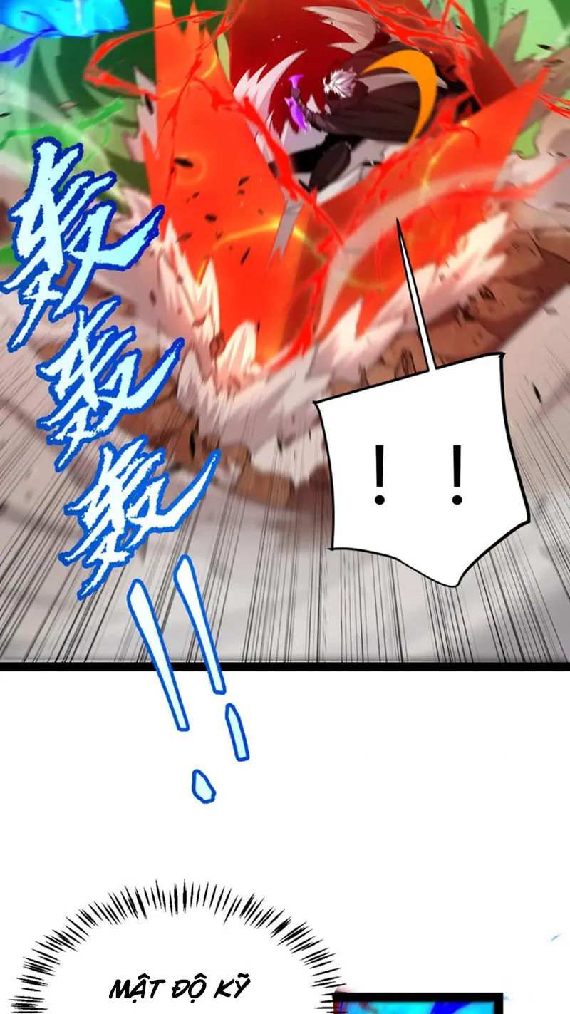 Chapter 255