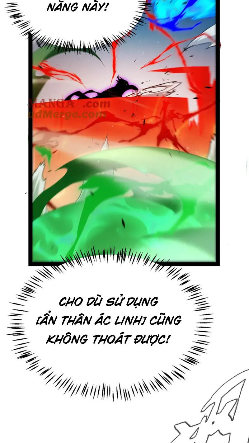Chapter 255