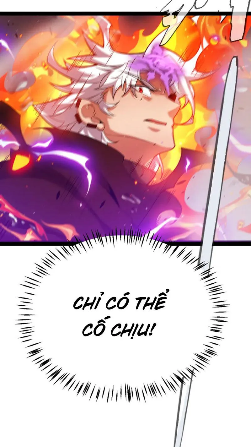 Chapter 255