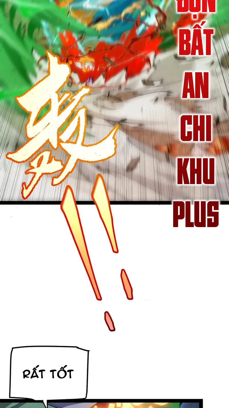 Chapter 255