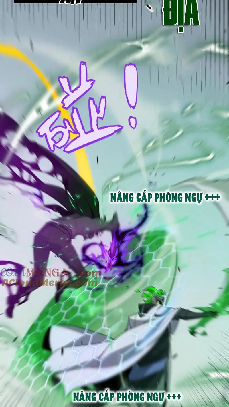Chapter 255