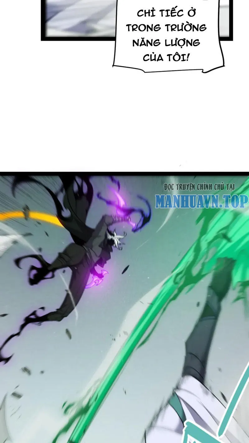 Chapter 255