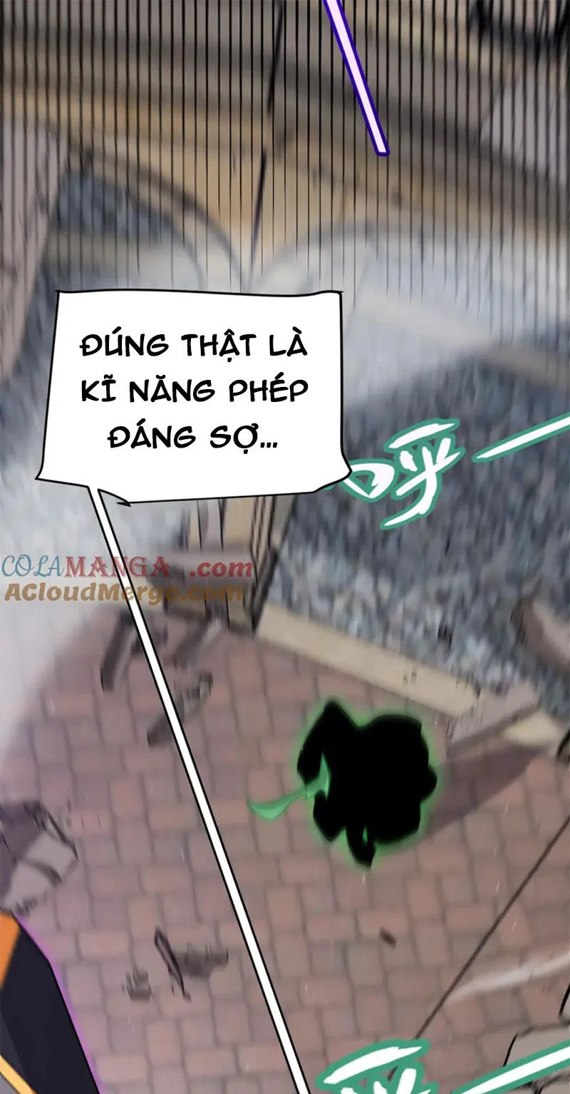Chapter 255