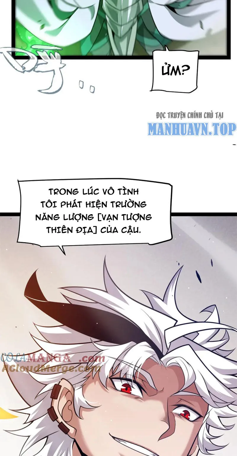 Chapter 255