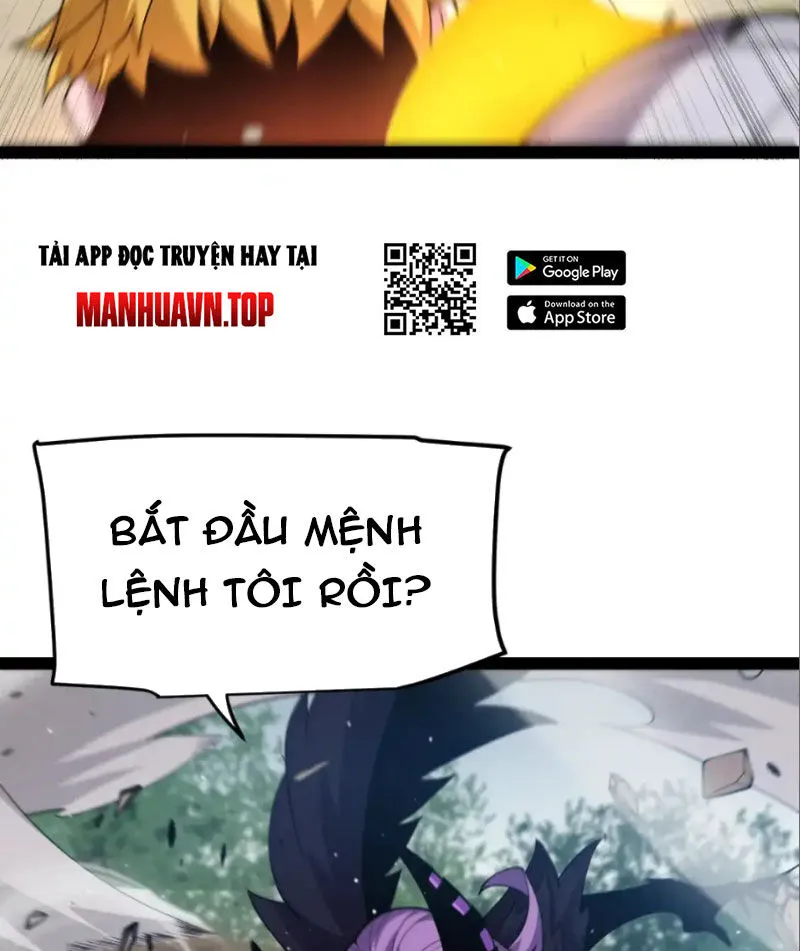 Chapter 252