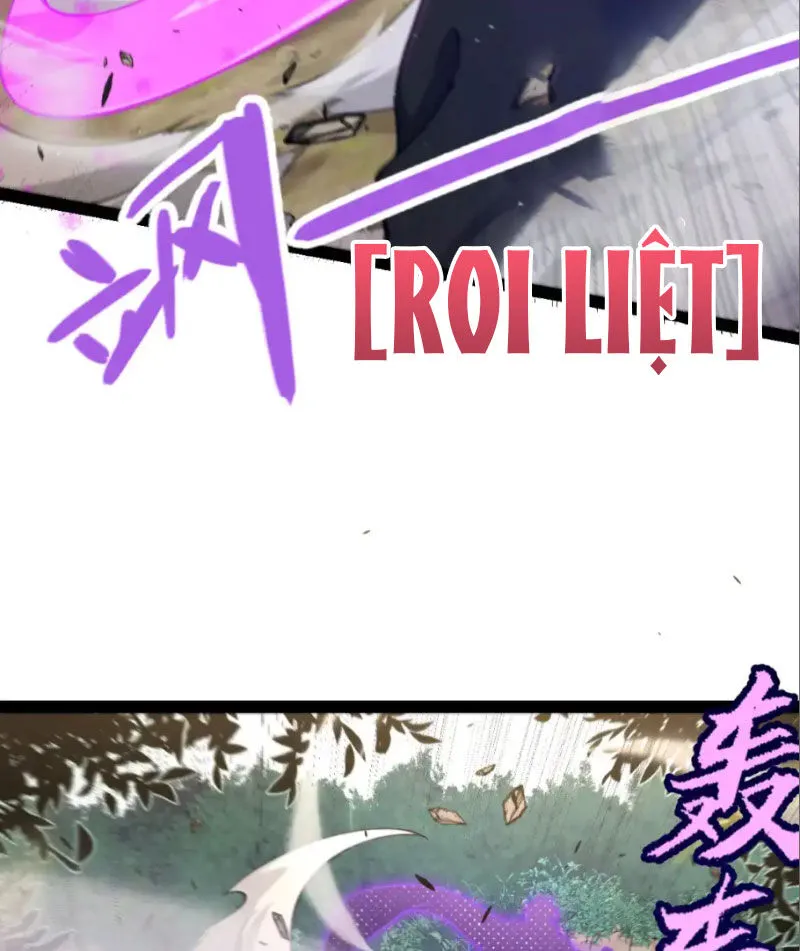 Chapter 252