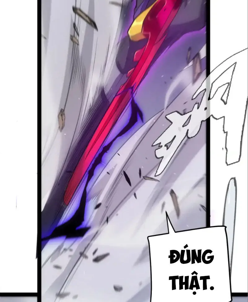 Chapter 252