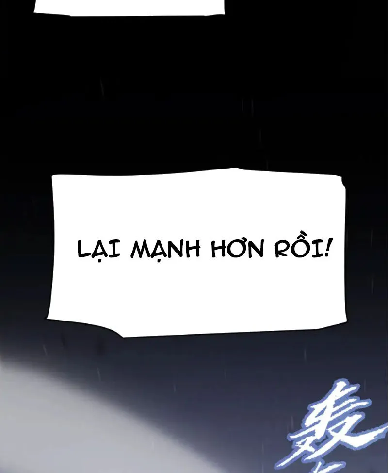 Chapter 252