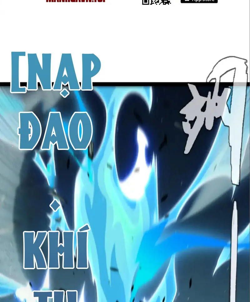 Chapter 252