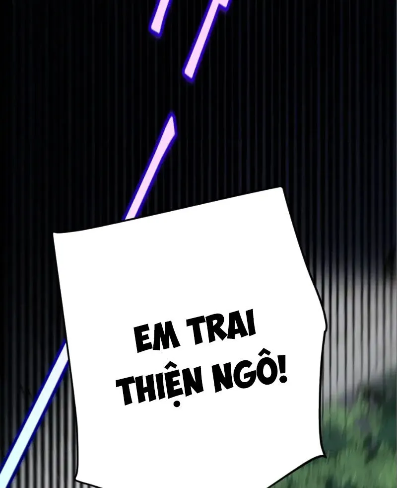 Chapter 252