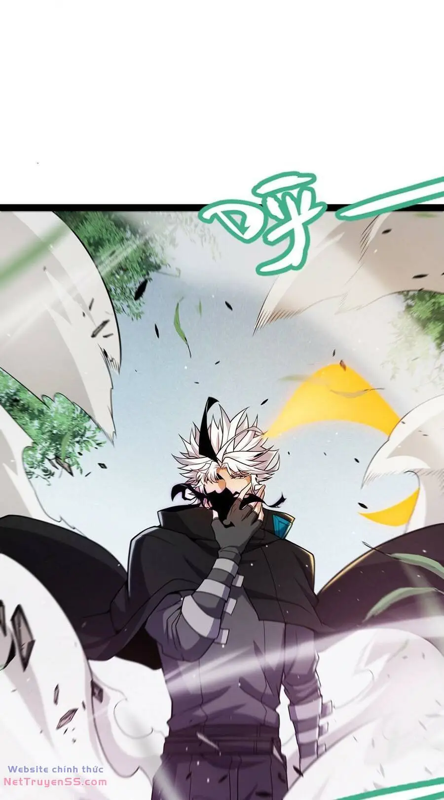Chapter 251