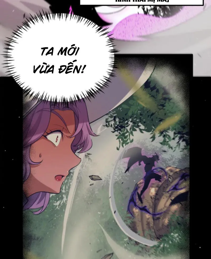 Chapter 251