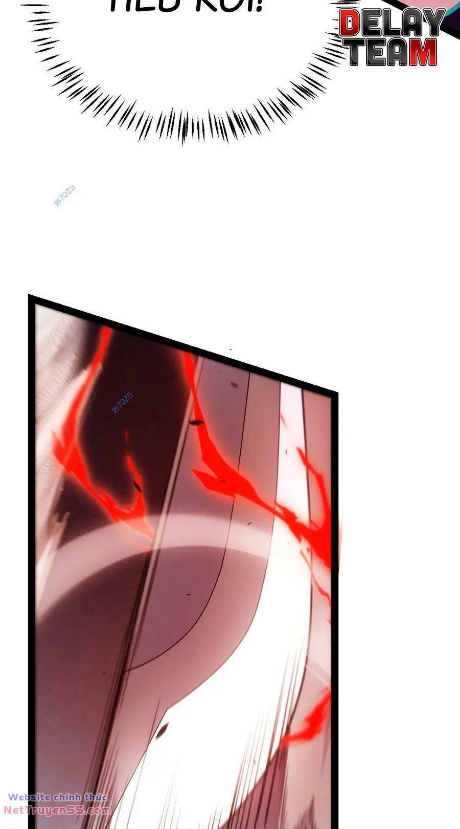 Chapter 251
