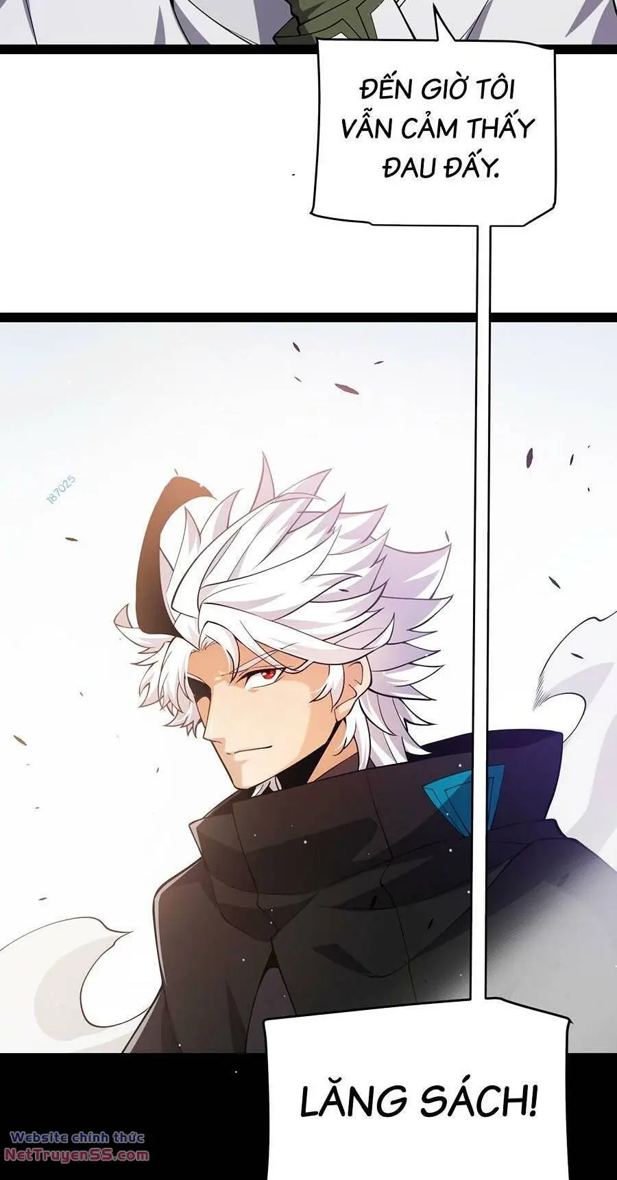 Chapter 251