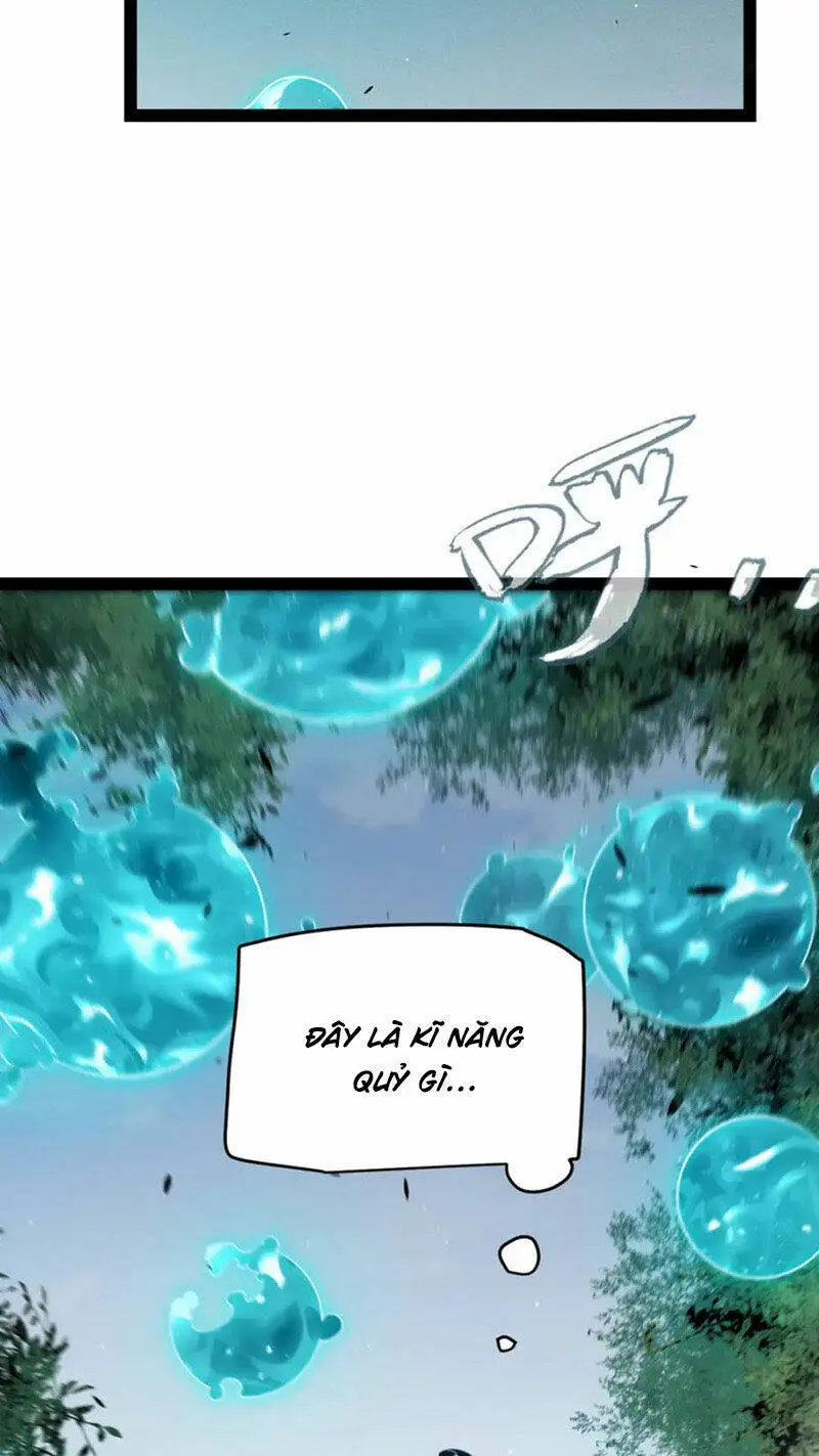 Chapter 250