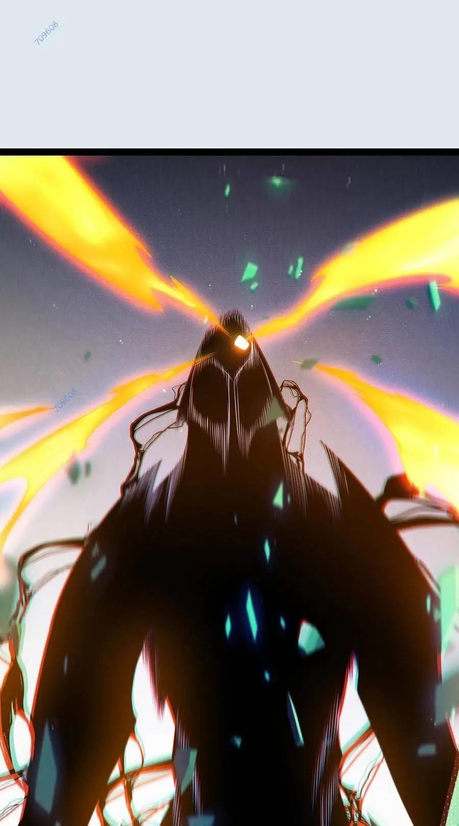 Chapter 248
