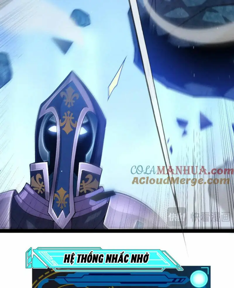 Chapter 239