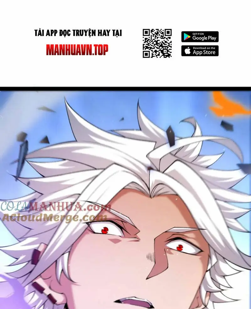 Chapter 239