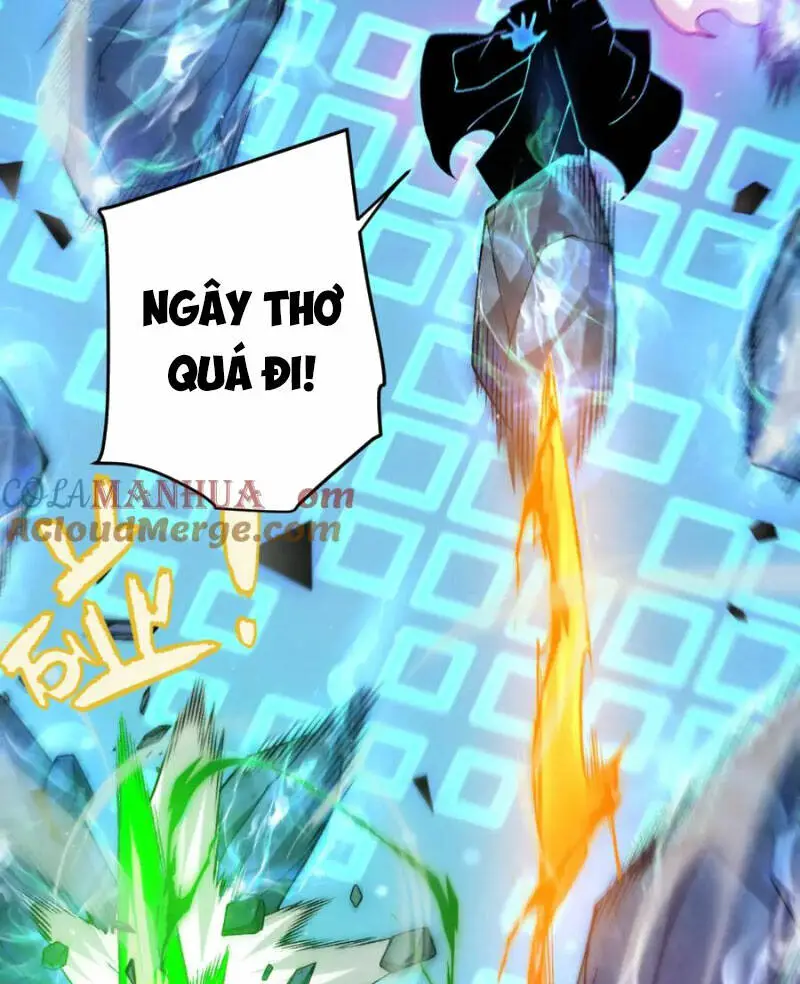 Chapter 239