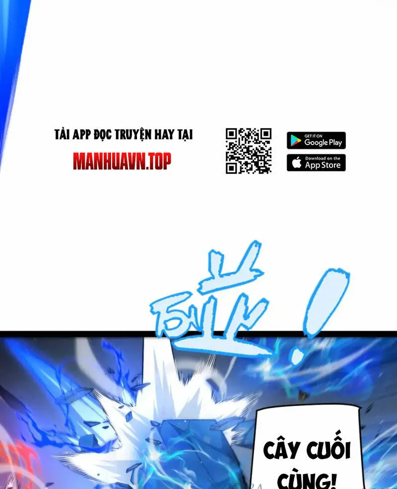 Chapter 239