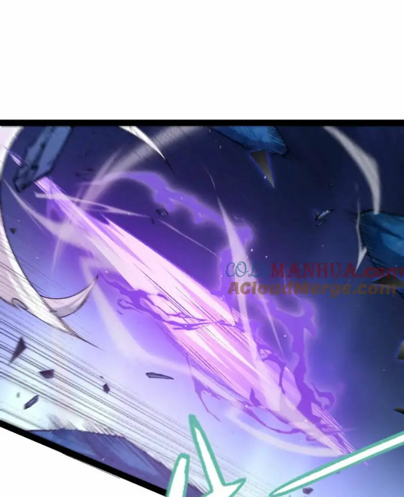 Chapter 239
