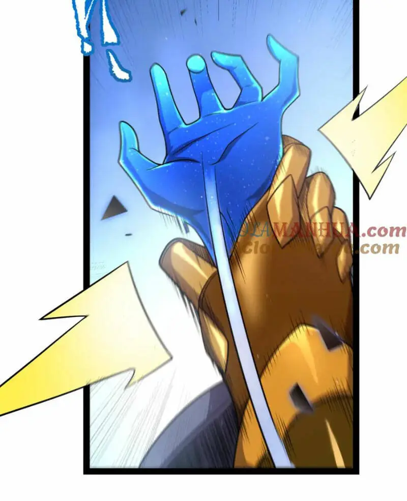 Chapter 239