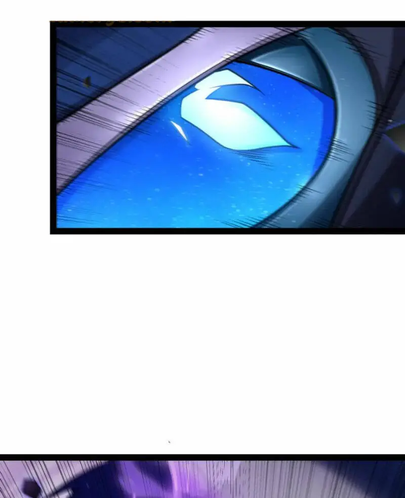 Chapter 239