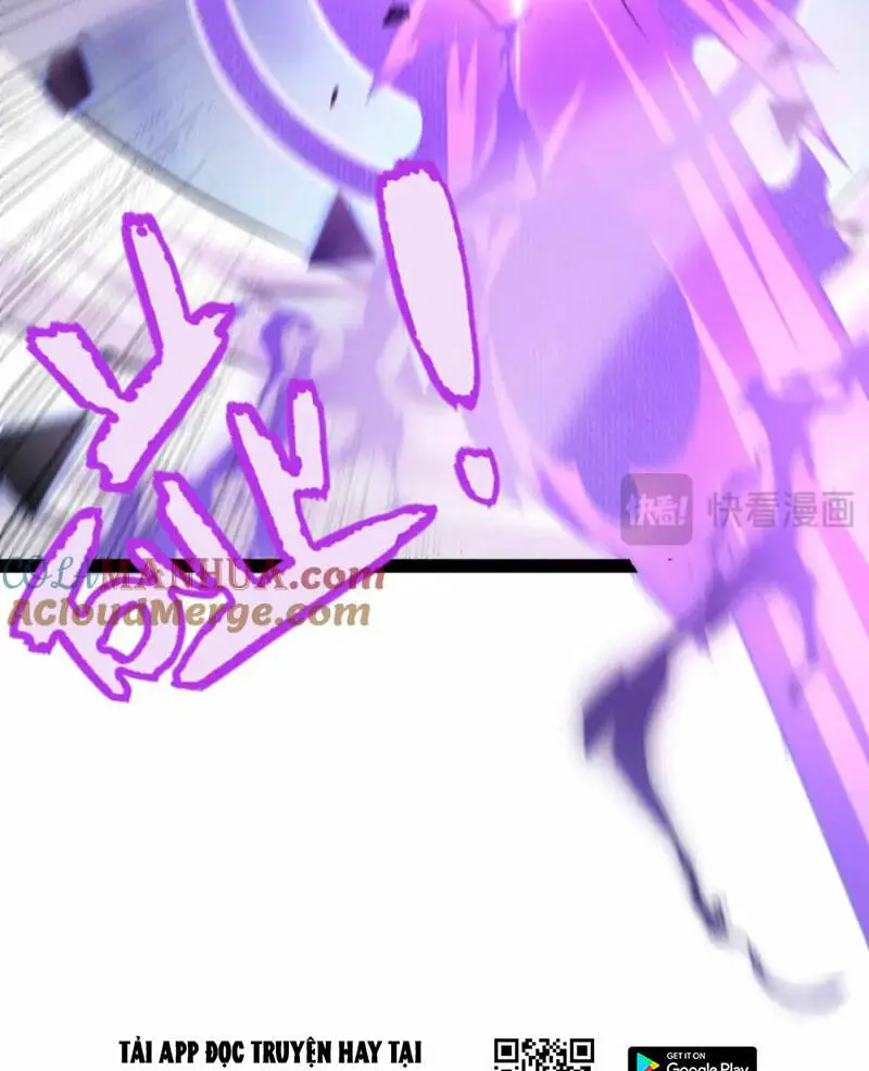 Chapter 239