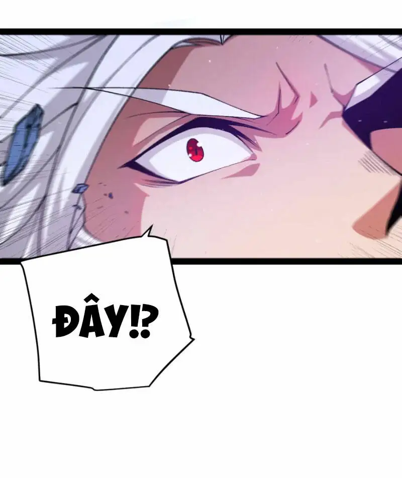 Chapter 238